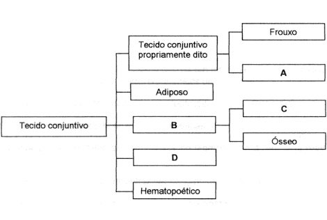 tecido conjutivo articulação