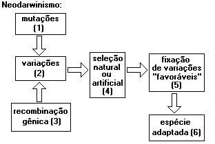 neodarwinismo