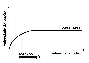 fotossíntese