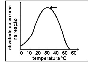 atividade enzimática