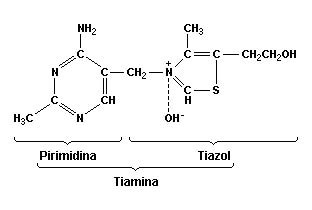 estrutura molecular da tiamina