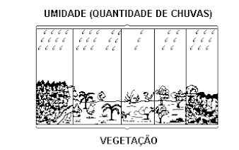Vegetação Brasil