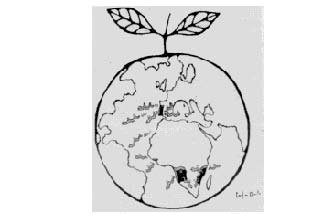 História (não classificadas)