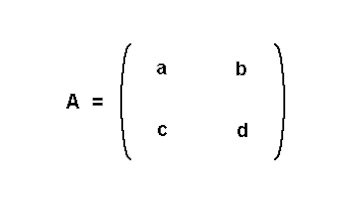 Matriz